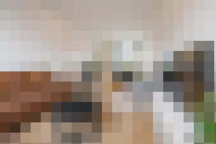 Ploegstraat 89 Breda thumbnail 8