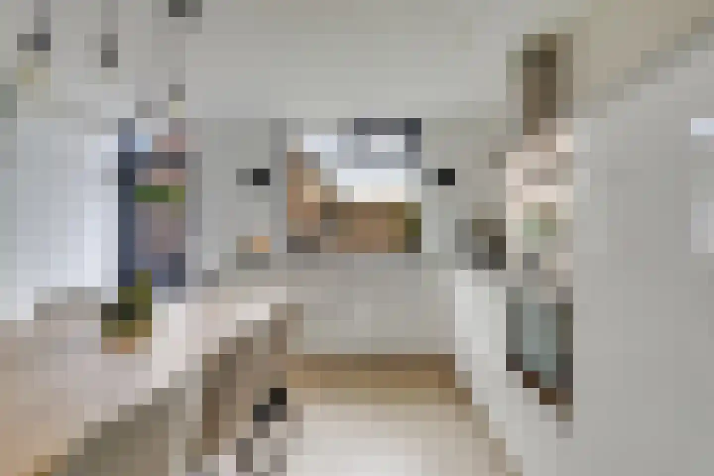 Ploegveld 13 Houten thumbnail 10