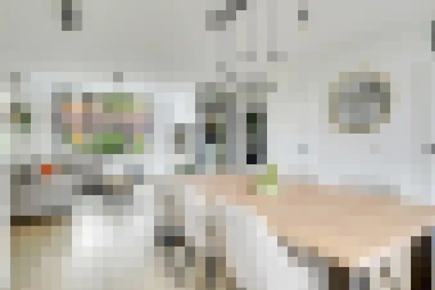 Ploegveld 13 Houten thumbnail 13