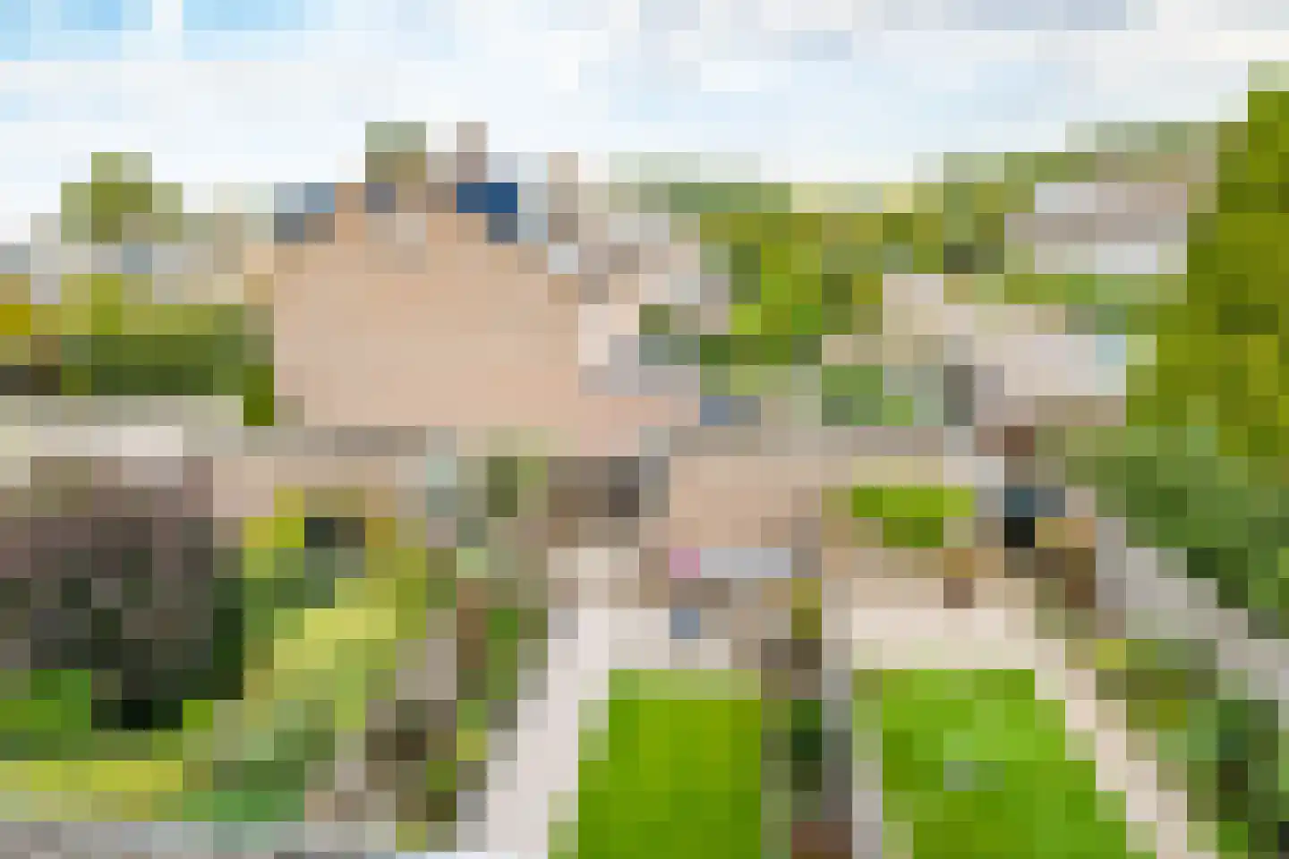 Ploegveld 13 Houten thumbnail 35