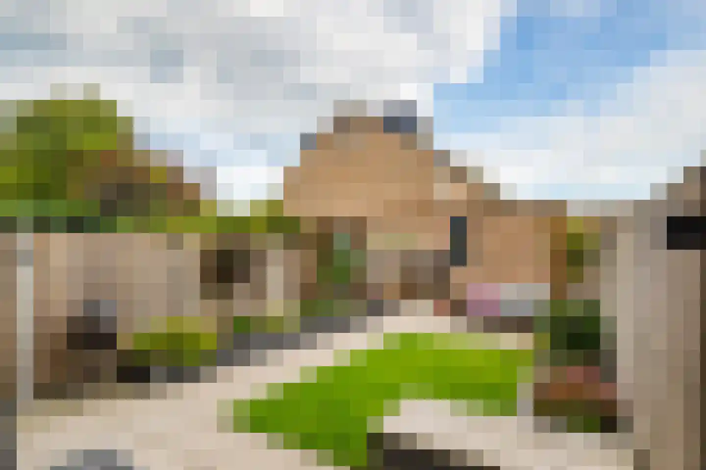 Ploegveld 13 Houten thumbnail 4
