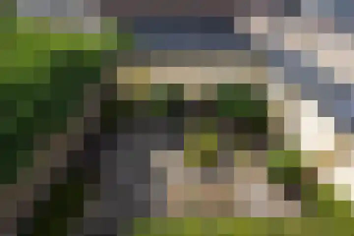 Ploegveld 13 Vught thumbnail 41