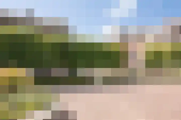Ploegveld 13 Vught thumbnail 8