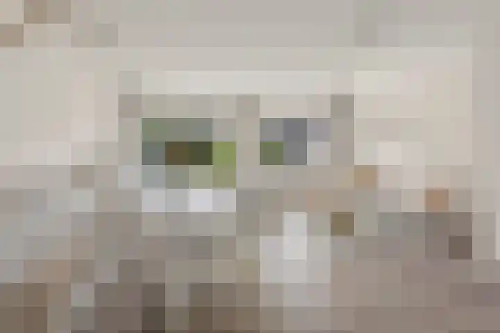 Ploegveld 197 Houten thumbnail 10