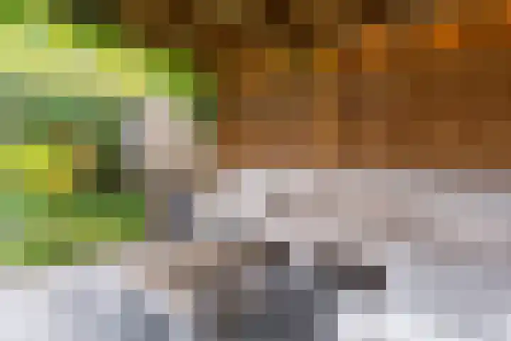 Ploegveld 197 Houten thumbnail 13