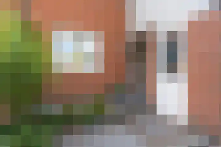 Ploegveld 197 Houten thumbnail 17
