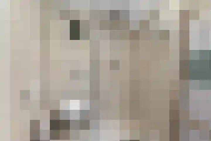 Ploegveld 197 Houten thumbnail 23