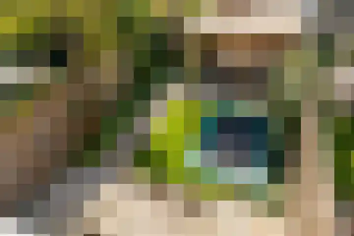 Ploegveld 197 Houten thumbnail 29