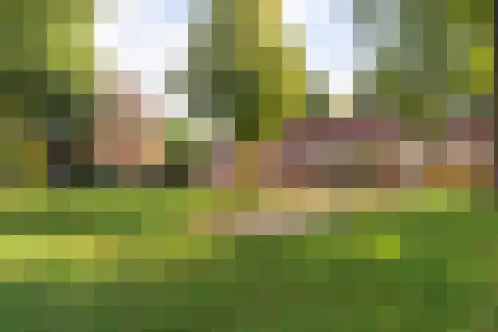 Ploegveld 197 Houten thumbnail 30
