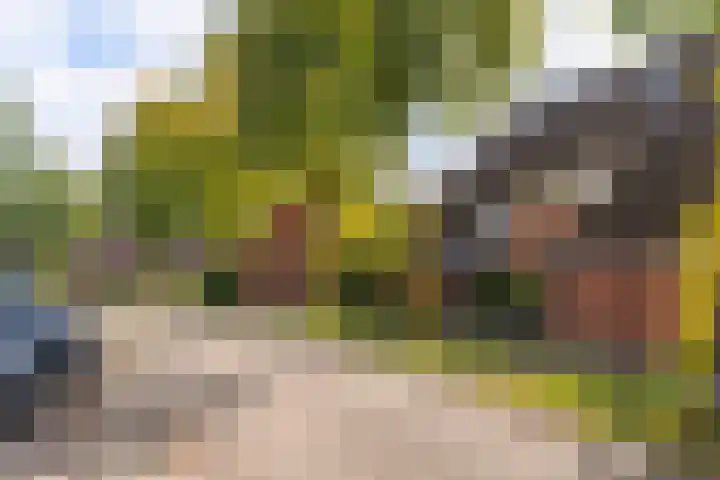 Ploegveld 197 Houten thumbnail 31