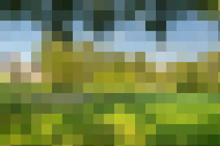 Ploegveld 197 Houten thumbnail 33