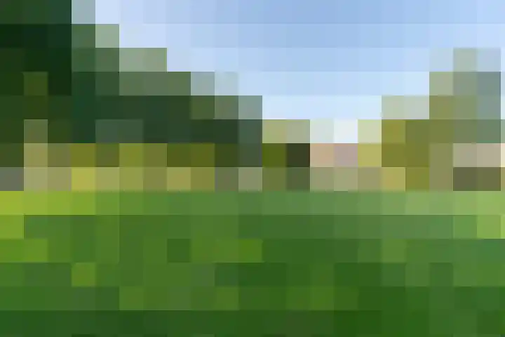 Ploegveld 197 Houten thumbnail 34