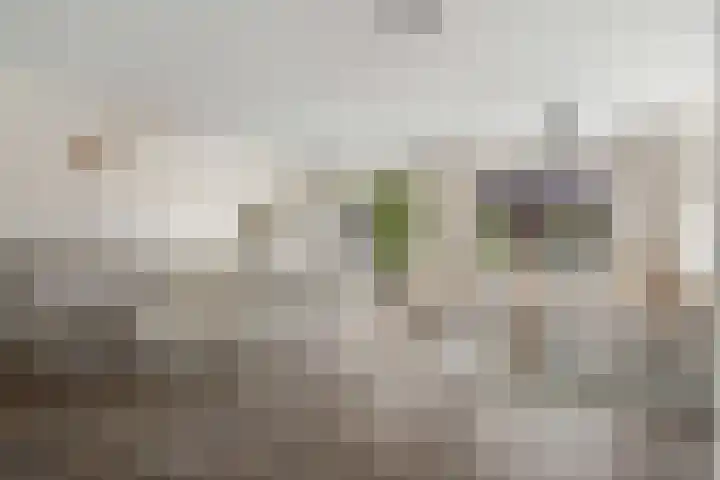 Ploegveld 197 Houten thumbnail 4