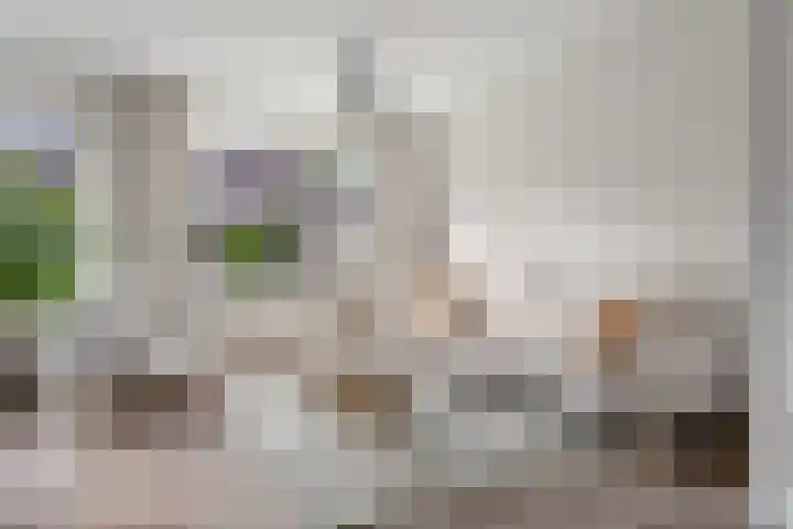Ploegveld 197 Houten thumbnail 5