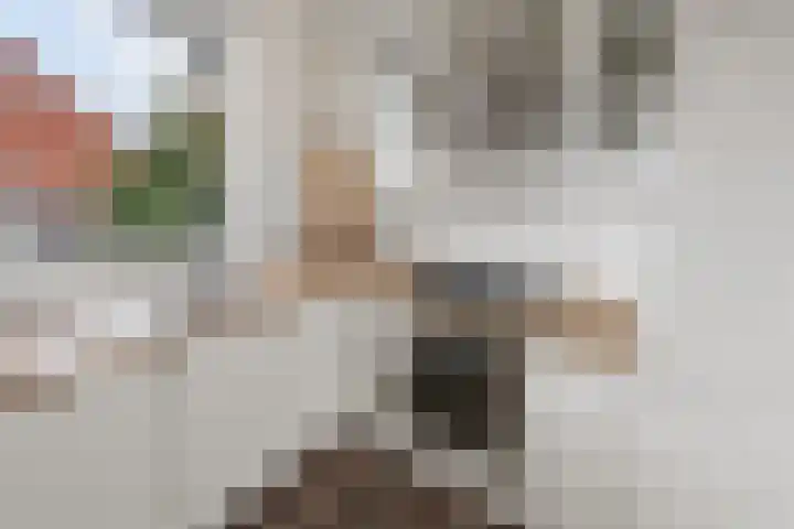 Ploegveld 197 Houten thumbnail 8
