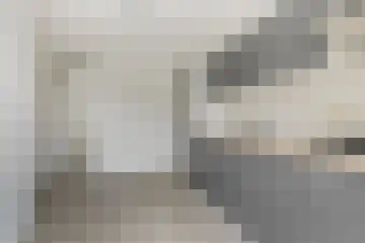 Ploegveld 3 A Vught thumbnail 10