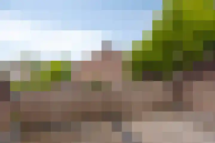 Ploegveld 3 A Vught thumbnail 15