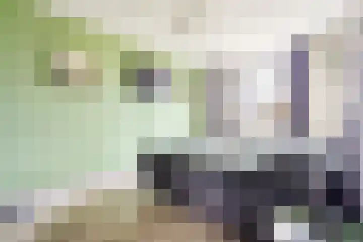 Ploegveld 68 Houten thumbnail 21