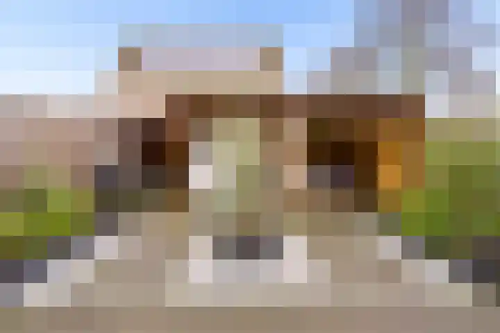 Ploegveld 68 Houten thumbnail 37