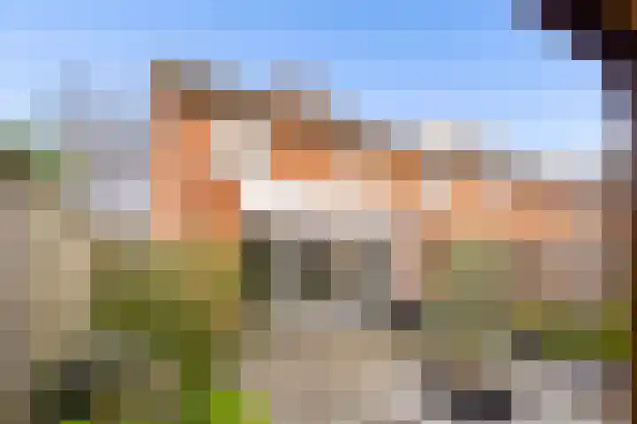 Ploegveld 68 Houten thumbnail 38