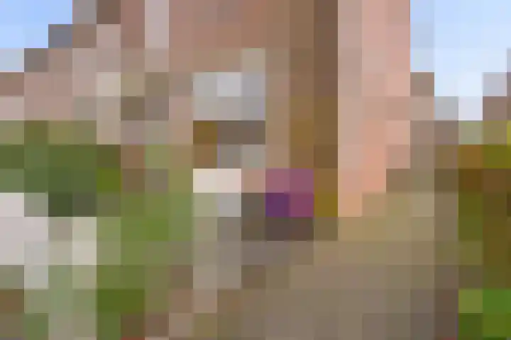 Ploegveld 68 Houten thumbnail 4