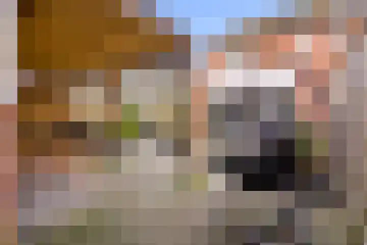 Ploegveld 68 Houten thumbnail 42