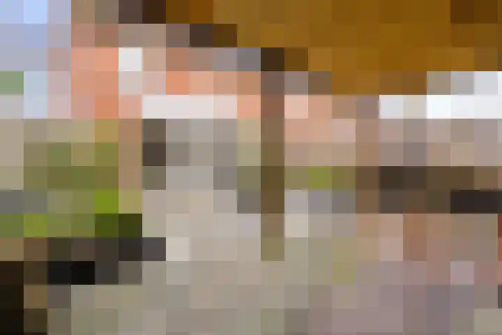 Ploegveld 68 Houten thumbnail 44
