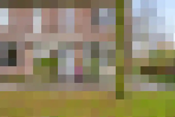 Ploegveld 68 Houten thumbnail 46