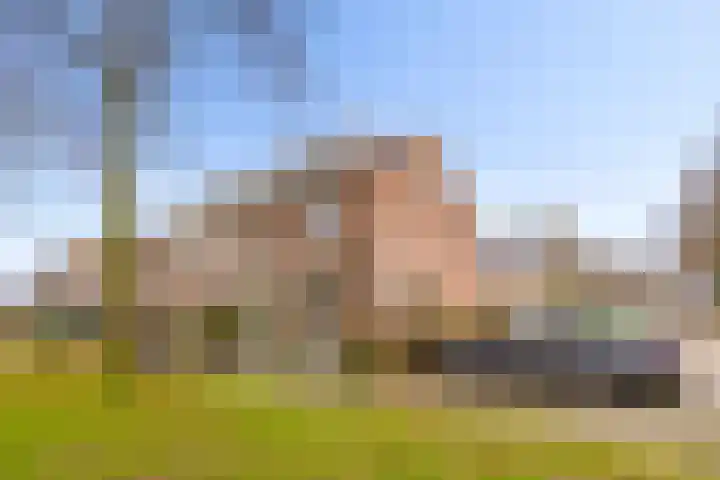 Ploegveld 68 Houten thumbnail 49