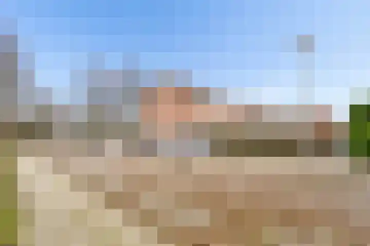 Ploegveld 68 Houten thumbnail 50