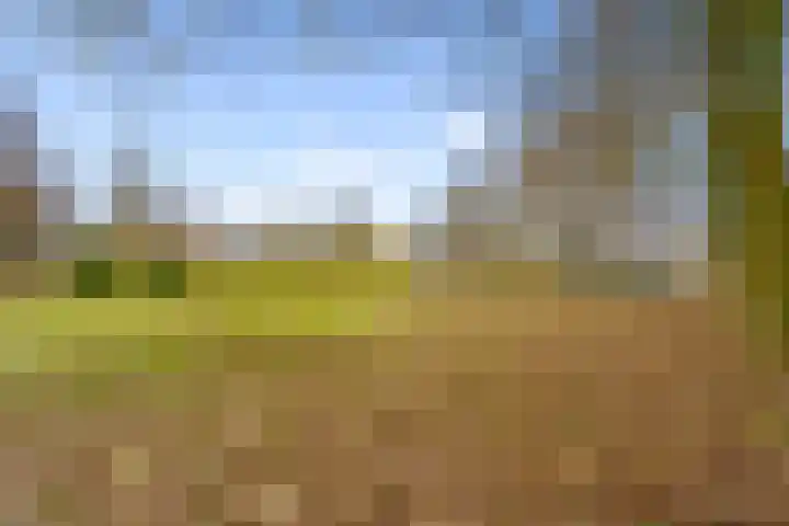 Ploegveld 68 Houten thumbnail 51