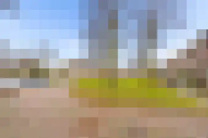 Ploegveld 68 Houten thumbnail 52