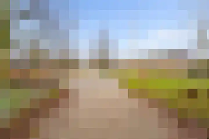 Ploegveld 68 Houten thumbnail 53