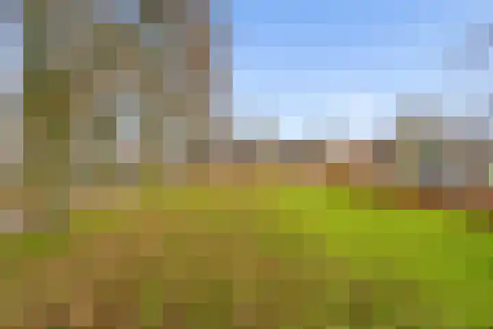 Ploegveld 68 Houten thumbnail 54