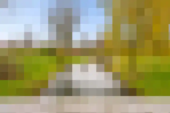 Ploegveld 68 Houten thumbnail 55