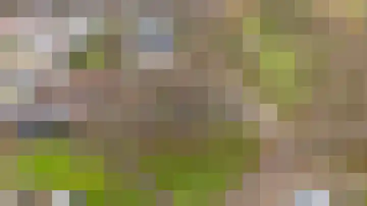 Ploegveld 68 Houten thumbnail 56