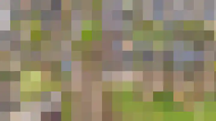 Ploegveld 68 Houten thumbnail 57