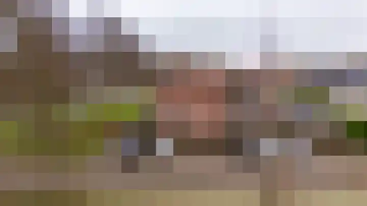 Ploegveld 68 Houten thumbnail 59