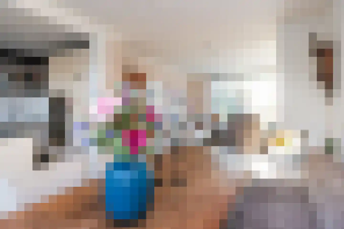 Ploegweg 19 Huizen thumbnail 13