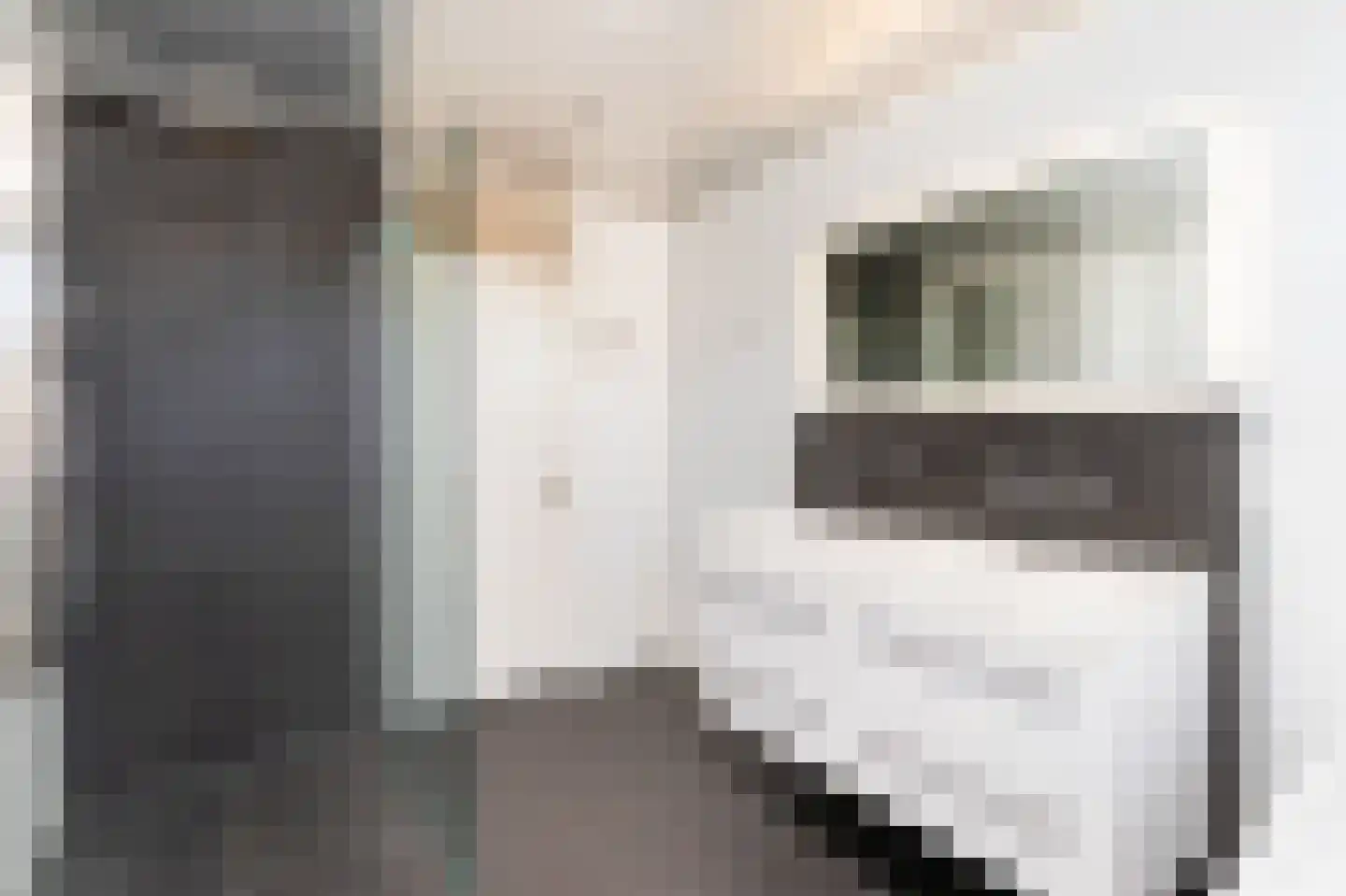 Ploegweg 19 Huizen thumbnail 28