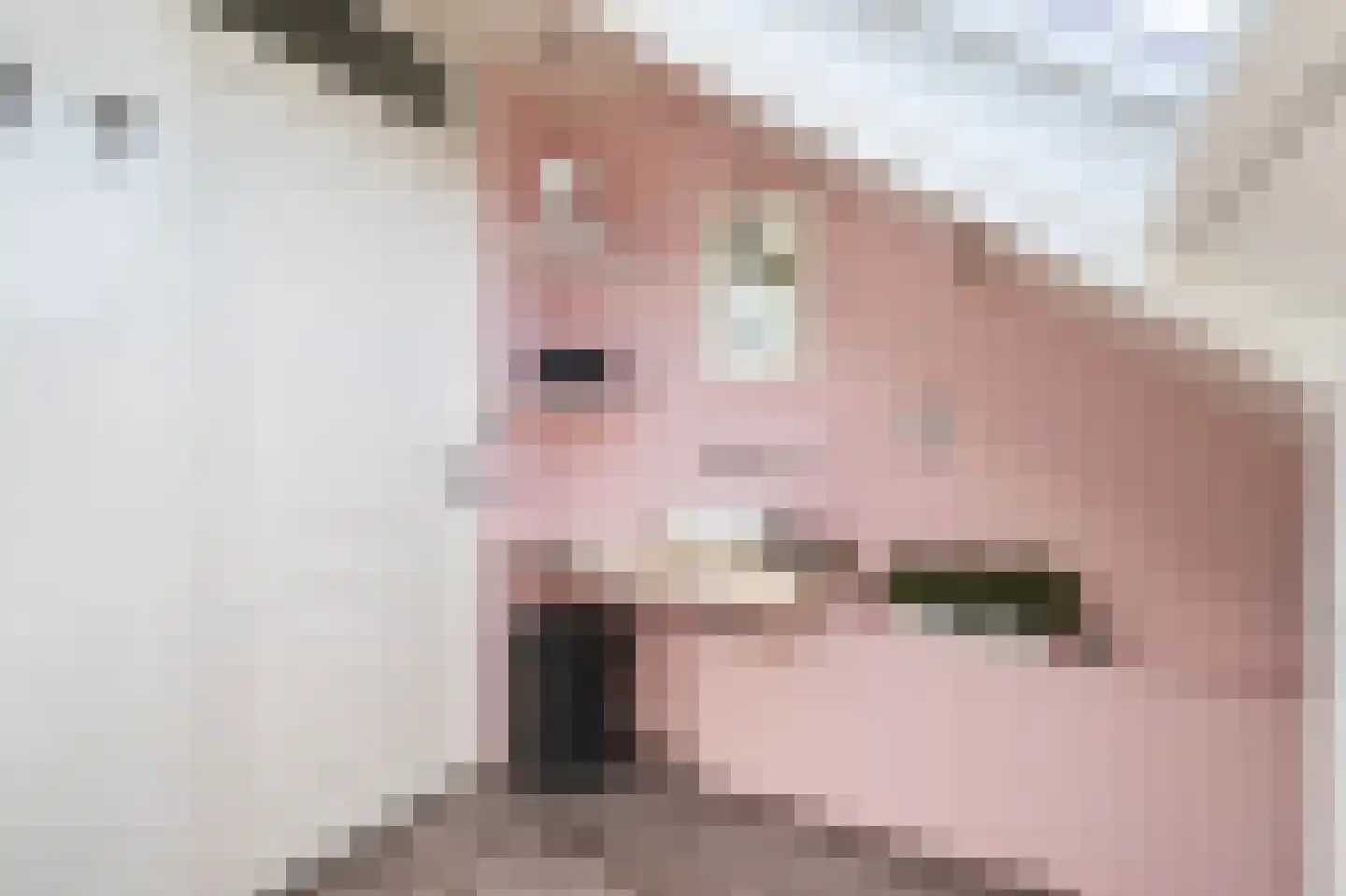 Ploegweg 19 Huizen thumbnail 31