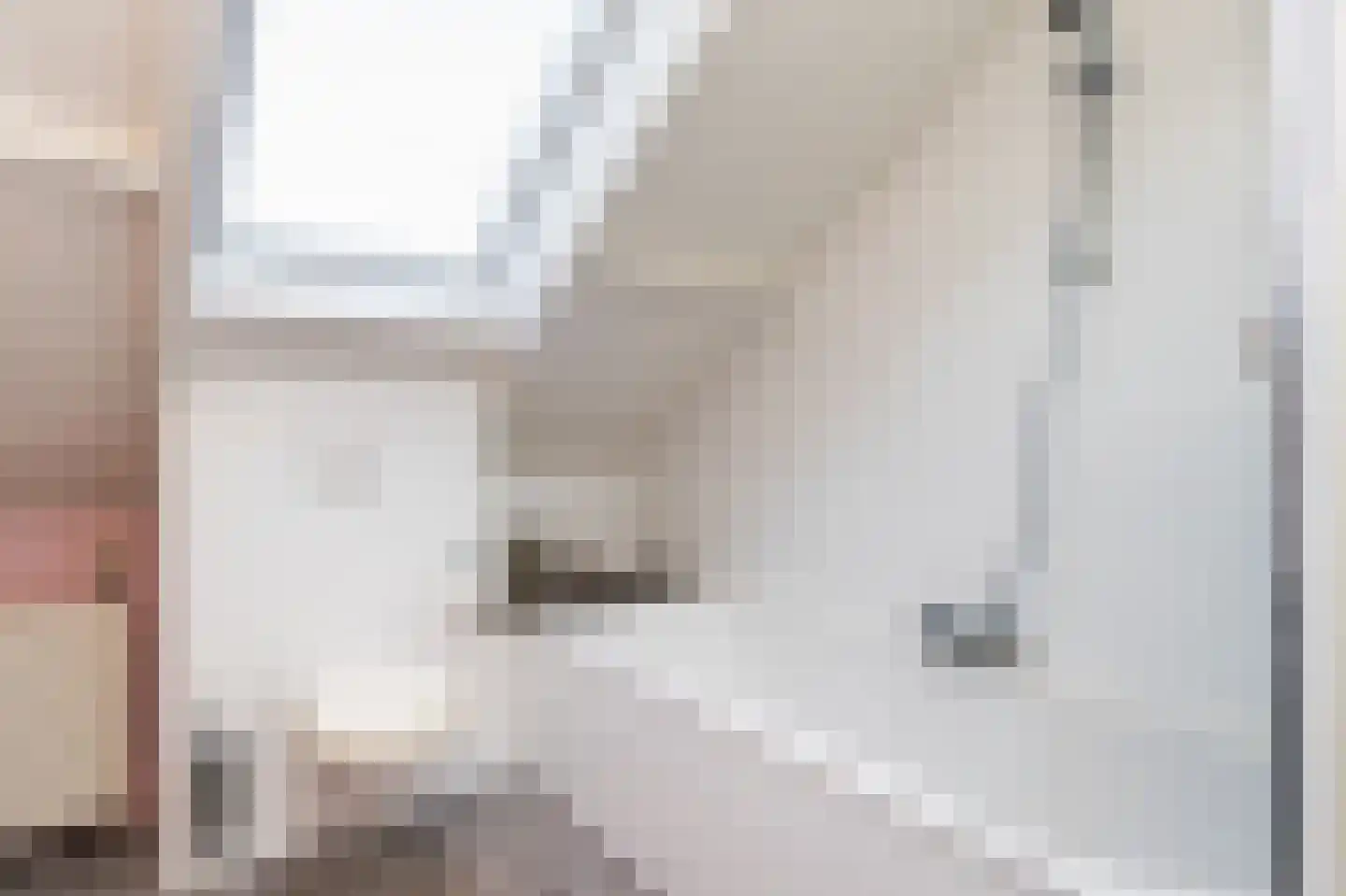 Ploegweg 19 Huizen thumbnail 32