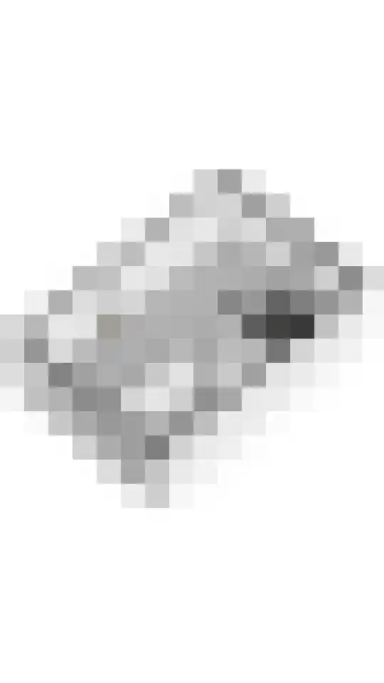 Ploegweg 19 Huizen thumbnail 37