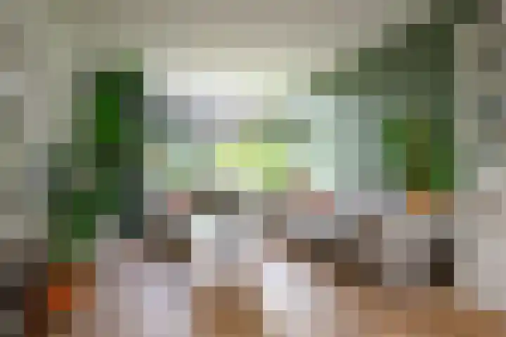 Ploegweg 5 Huizen thumbnail 11