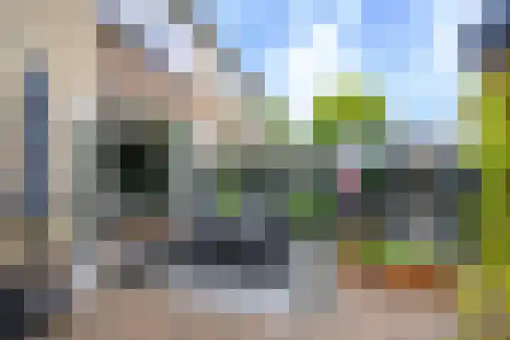 Ploegweg 5 Huizen thumbnail 15