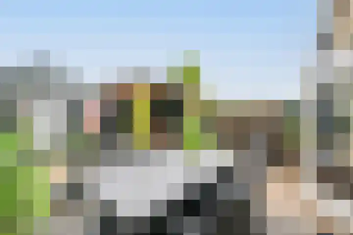 Ploegweg 5 Huizen thumbnail 16