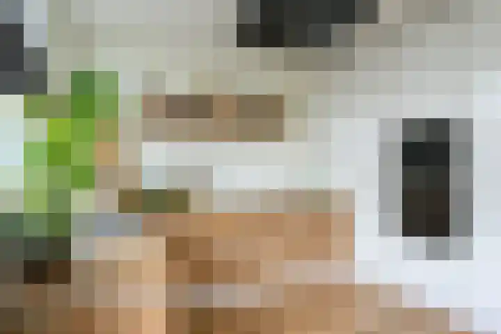 Ploegweg 5 Huizen thumbnail 17
