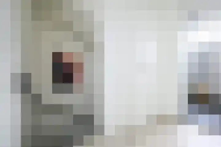 Ploegweg 5 Huizen thumbnail 20