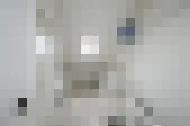 Ploegweg 5 Huizen thumbnail 28