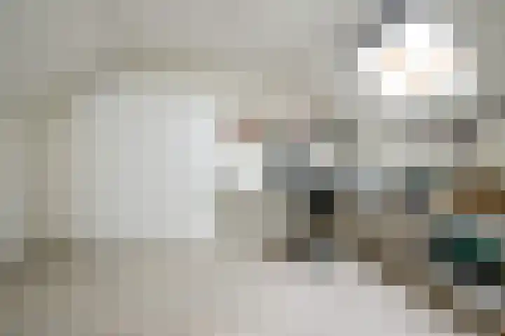 Ploegweg 5 Huizen thumbnail 30